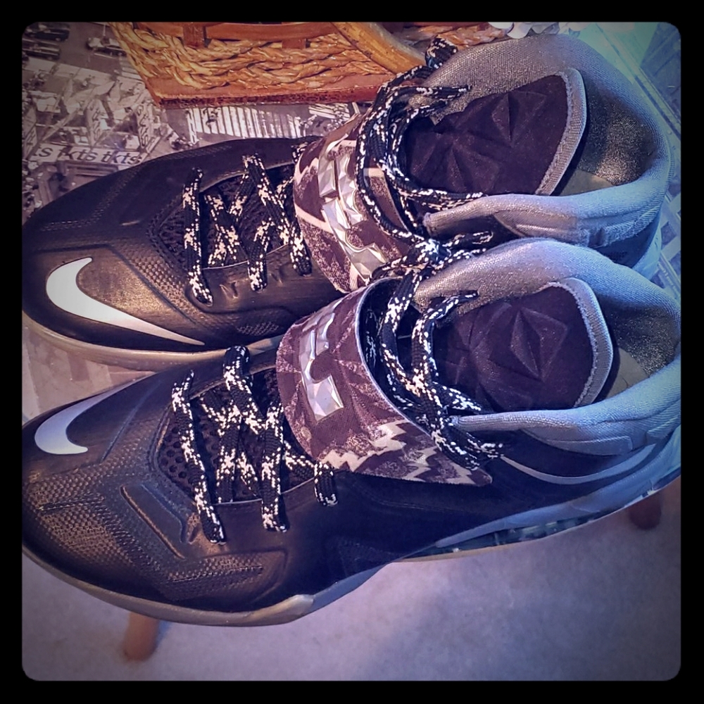 Lebron Nike Sneakers